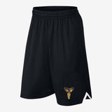 Chicago 23 Michael Jordan Basketball Shorts